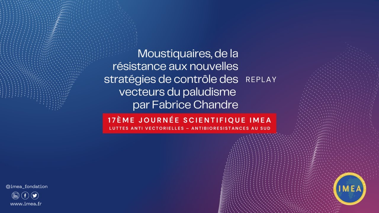 REPLAY : Moustiquaires, de la résistance aux stratégies de contrôle des vecteurs du paludisme
