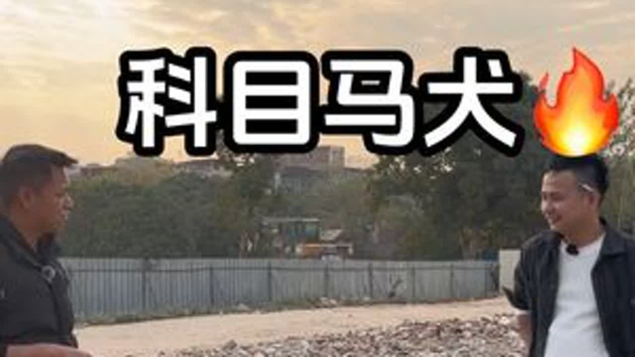 老铁们你们家的马犬能当搜救犬吗？#马犬 #萌宠出道计划 #不养狗不知道养狗的乐趣 #同城热门