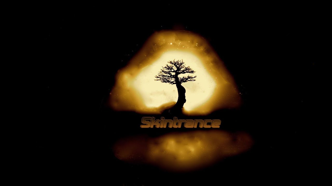Skintrance - Contact [Music Video]