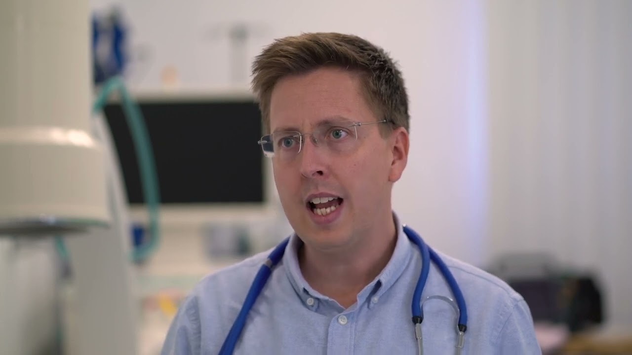 Minden a bélbaktériumokon múlik? – Egészségügyi tévhitek 2. rész – dr. Cseh Áron gasztroenterológus