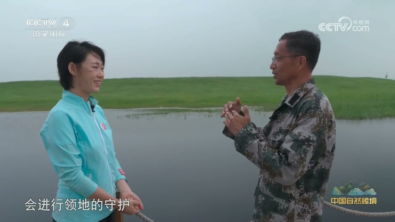 [远方的家]云间鹤舞 青山叠翠 芦苇荡里觅鹤踪 | 中华地图