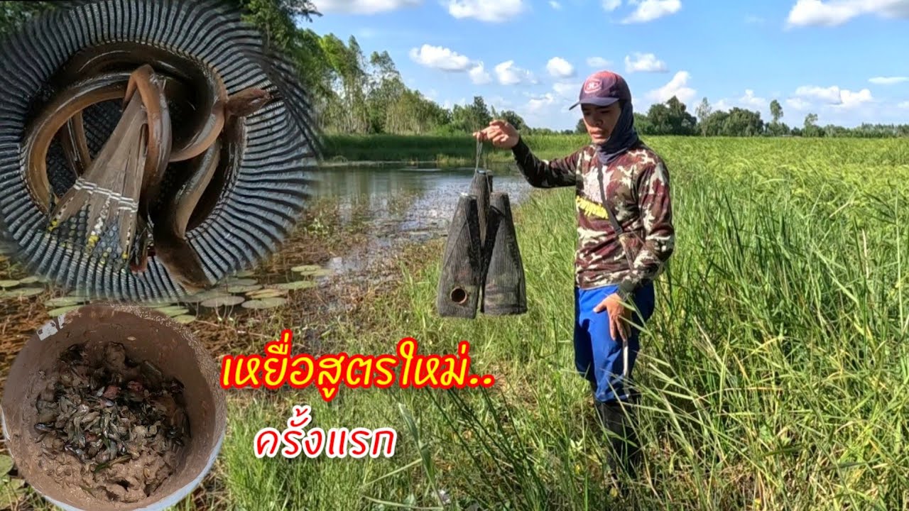 ใช้เหยื่อสูตรโบราณตามคนเฒ่าคนแก่บอกครั้งแรก ได้เรื่องเลยครับ ดักปลาไหล ดักตุ้มปลาไหล อีจู้ปลาไหล 
