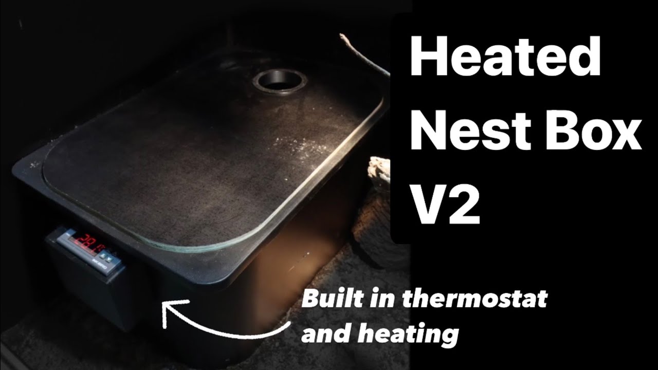 DIY Demo: Heated Lizard Lay Box V2