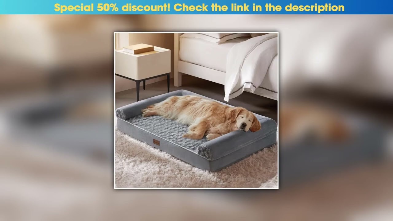 Discount Comfort Dog Bed Dog Accessories Pet Supplies Dog House Sofa Cat Nest Pet Mat for Small Med