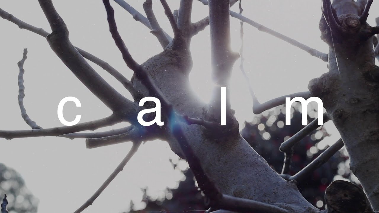 Ambient Music | calm