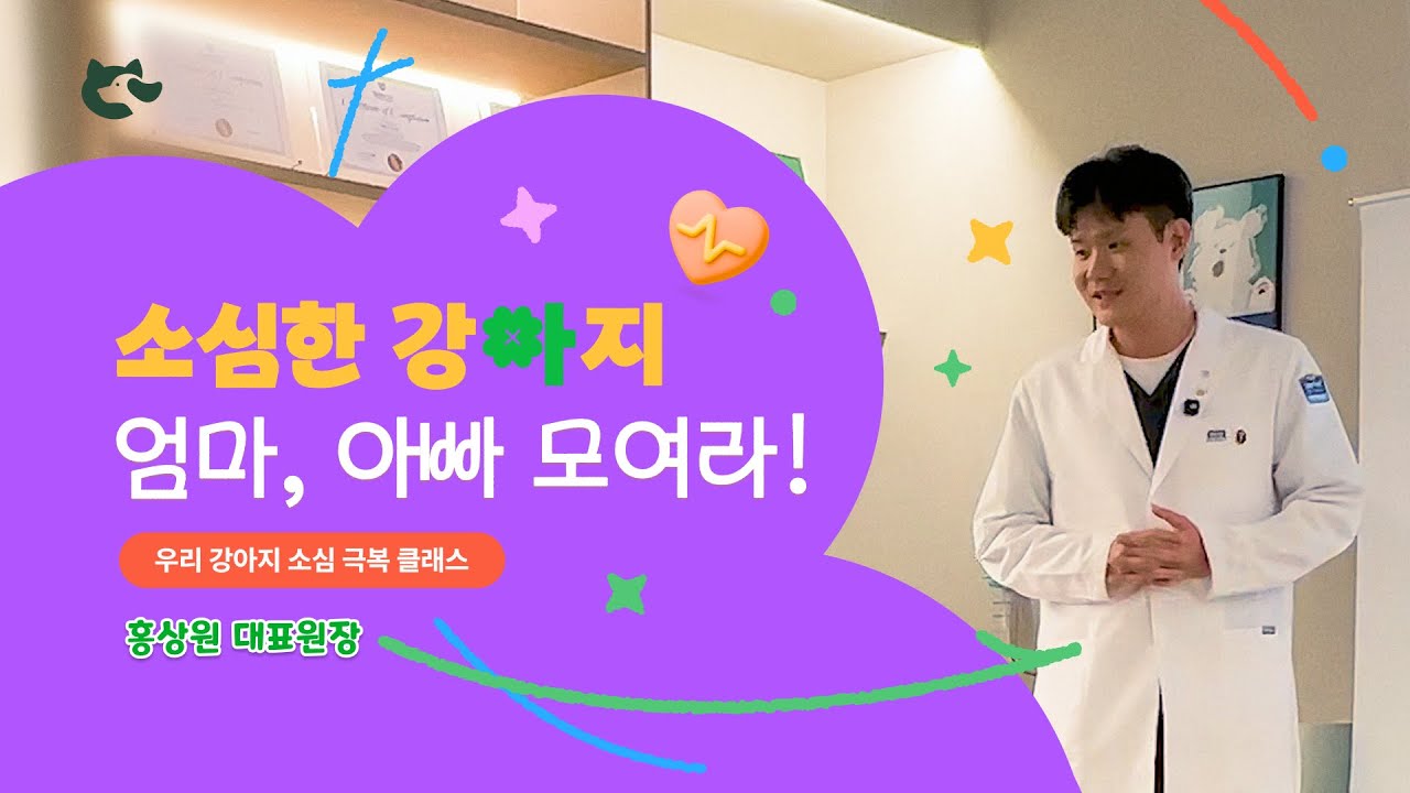 [우리 강아지 소심 극복 클래스] 소심한 강아지 엄마, 아빠 모여라!