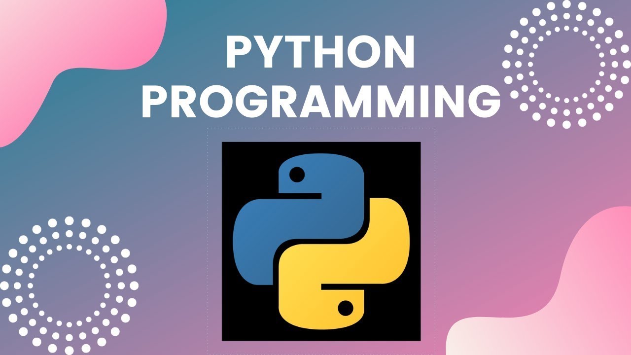Method for dry runs | how to dry run a program in python | python