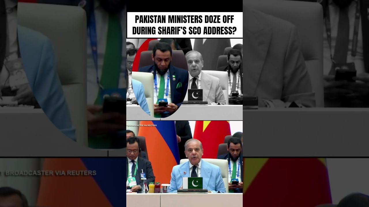 Pakistan Minister's Distraction During Sharif's SCO Address Goes #VIRAL #pakistan #Modi