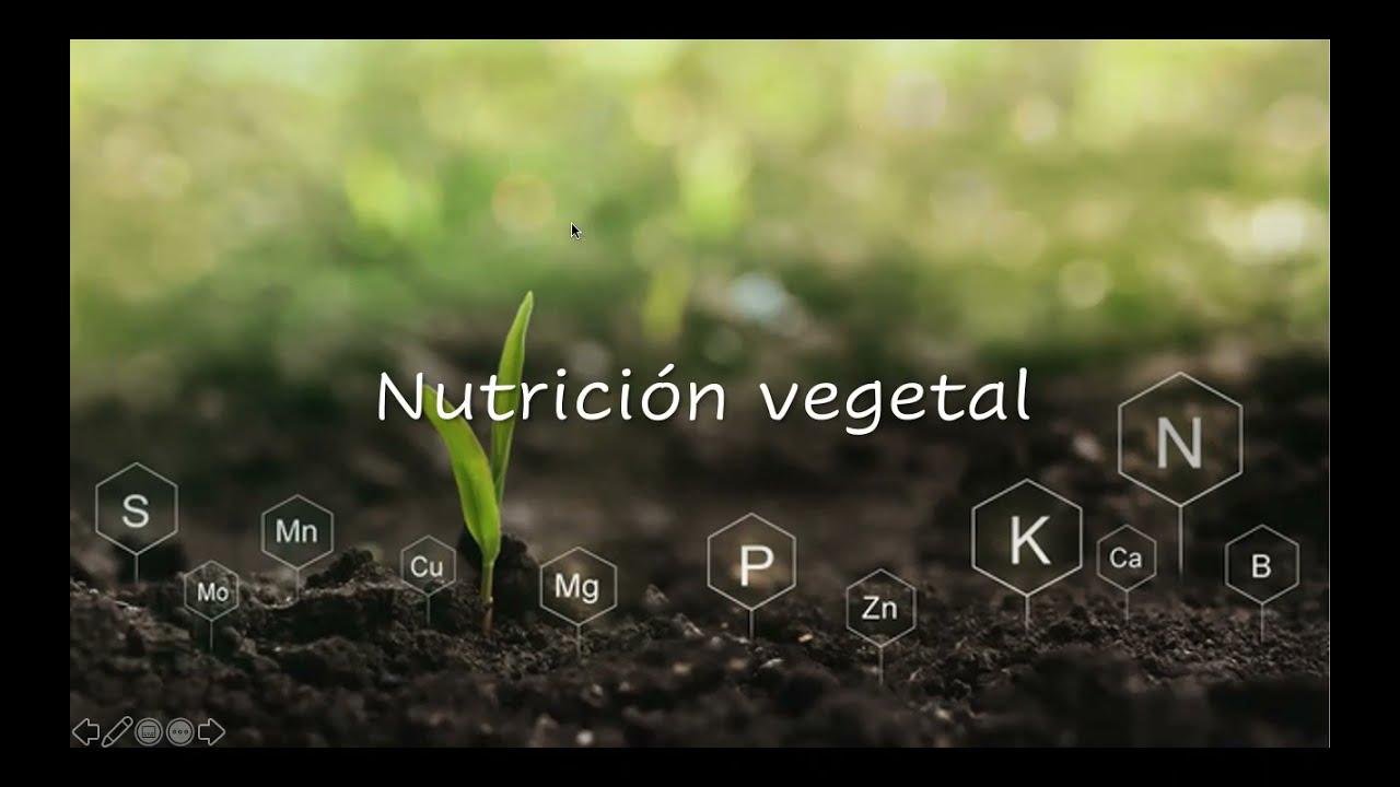 14. NUTRICION VEGETAL