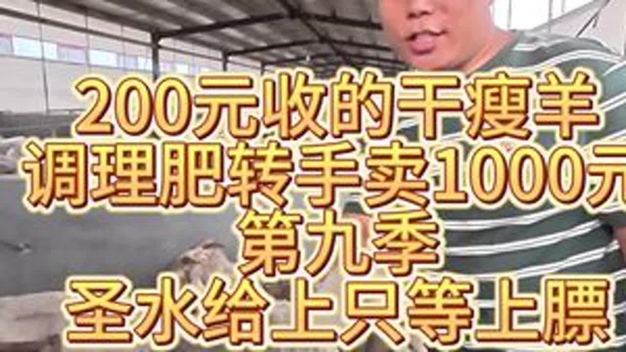 #瘦羊变肥羊 #瘦羊 #羊驱虫 #羊血虫病 #羊血虫