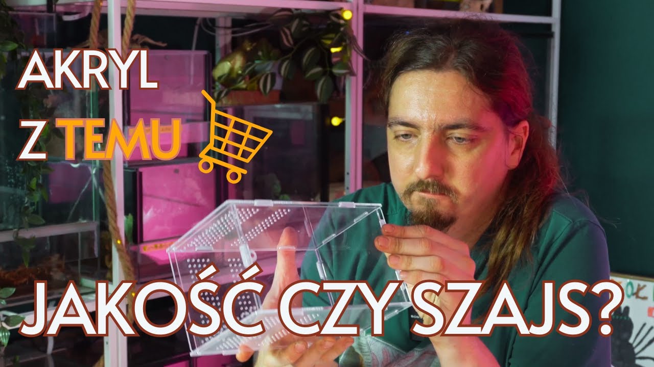 TERRARIUM Z TEMU ZA 45,46ZŁ! Sprawdziłem czy warto! Poradnik zakupowy