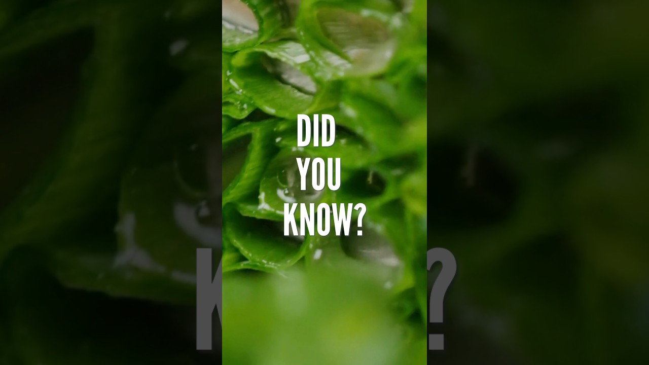 Did you know that green onions have these health benefits??