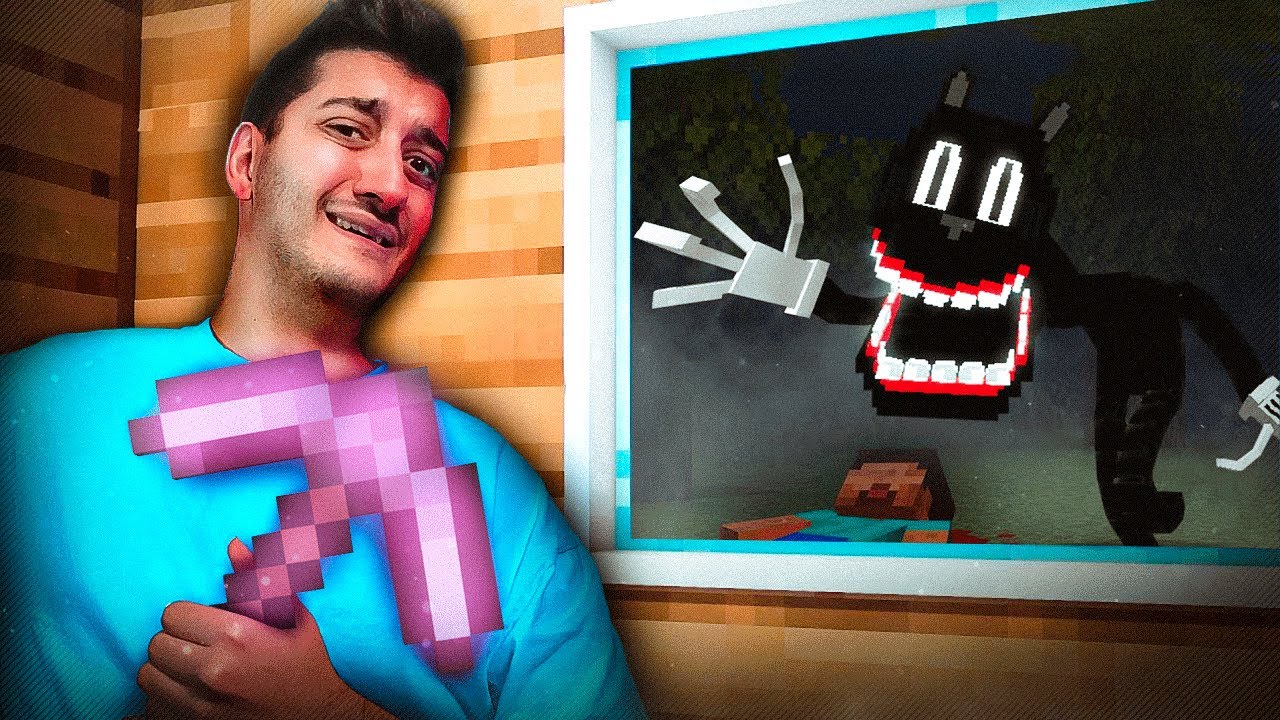 NON DOVEVO AGGIUNGERE CARTOON CAT su MINECRAFT..