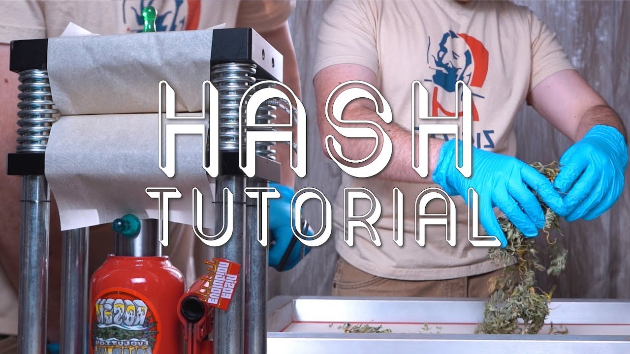 BEGINNERS DRY SIFT & ROSIN PRESSING TUTORIAL: HASH MAKING GUIDE