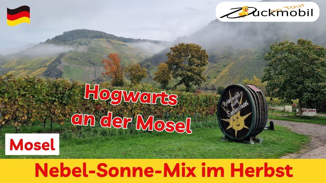 Wochenendtrip Minheim an der Mosel - so schön kann der Herbst sein - Nebel - Sonne - gute Laune