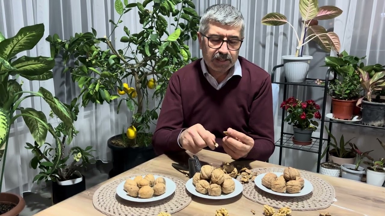 Balkal 1. Balkal 2. Balkal 3. Çeşitleri Tanıyalım 