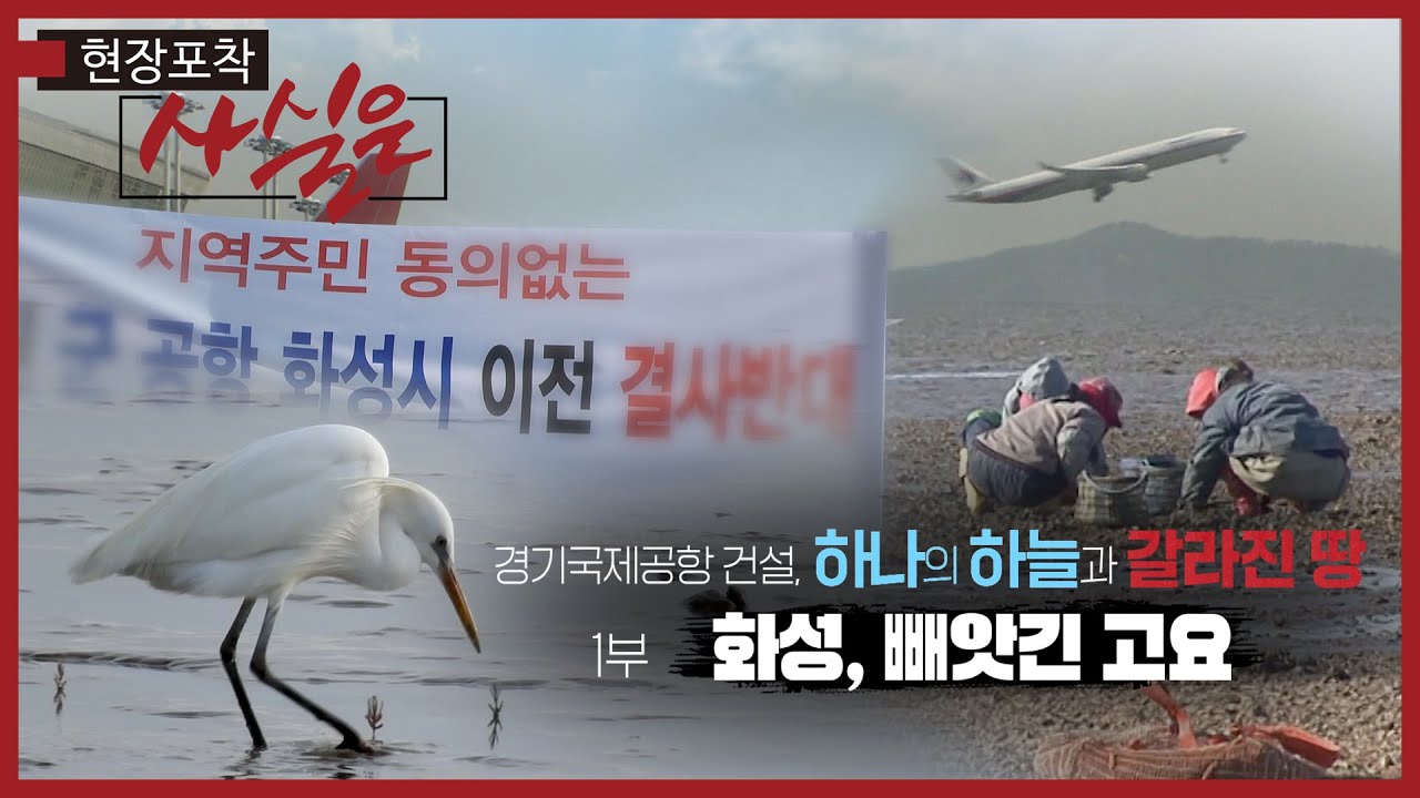 현장포착 사실은 90회 경기국제공항건설 '화성, 빼앗긴 고요'