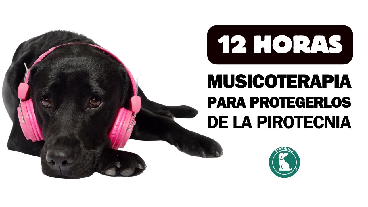 🐶🎧 MÚSICA PARA RELAJAR A MI PERRO durante la pirotecnia 🎼 12 horas de MUSICOTERAPIA PARA PERROS 🐶🌿
