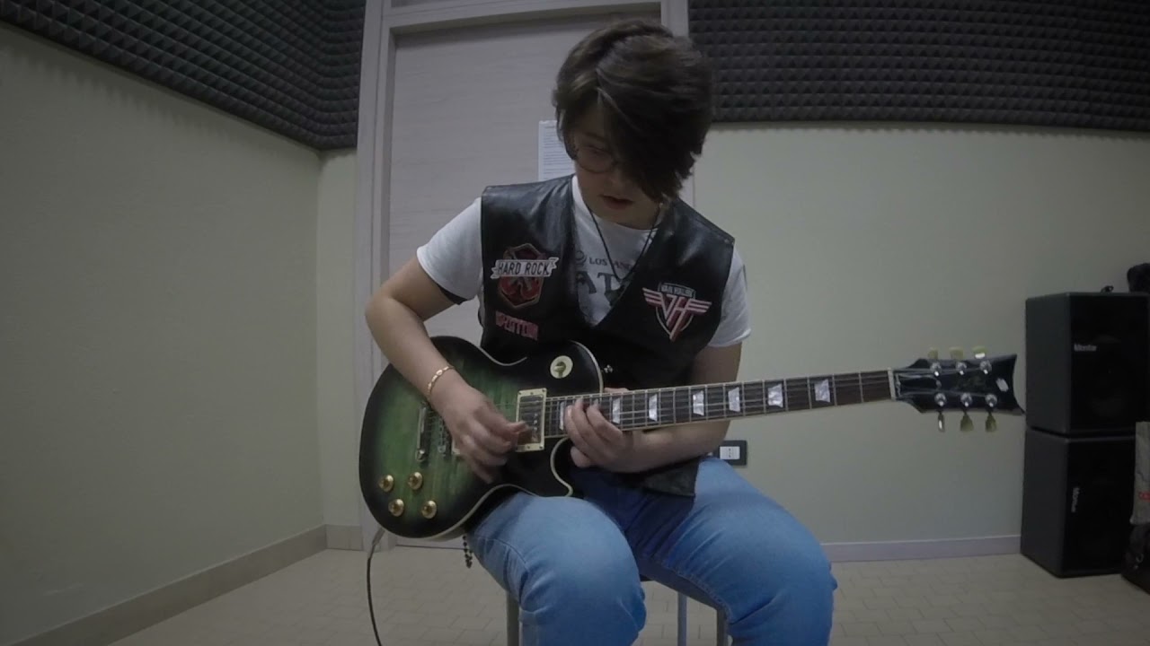 Zakk Wylde - Farm Fiddlin (cover)