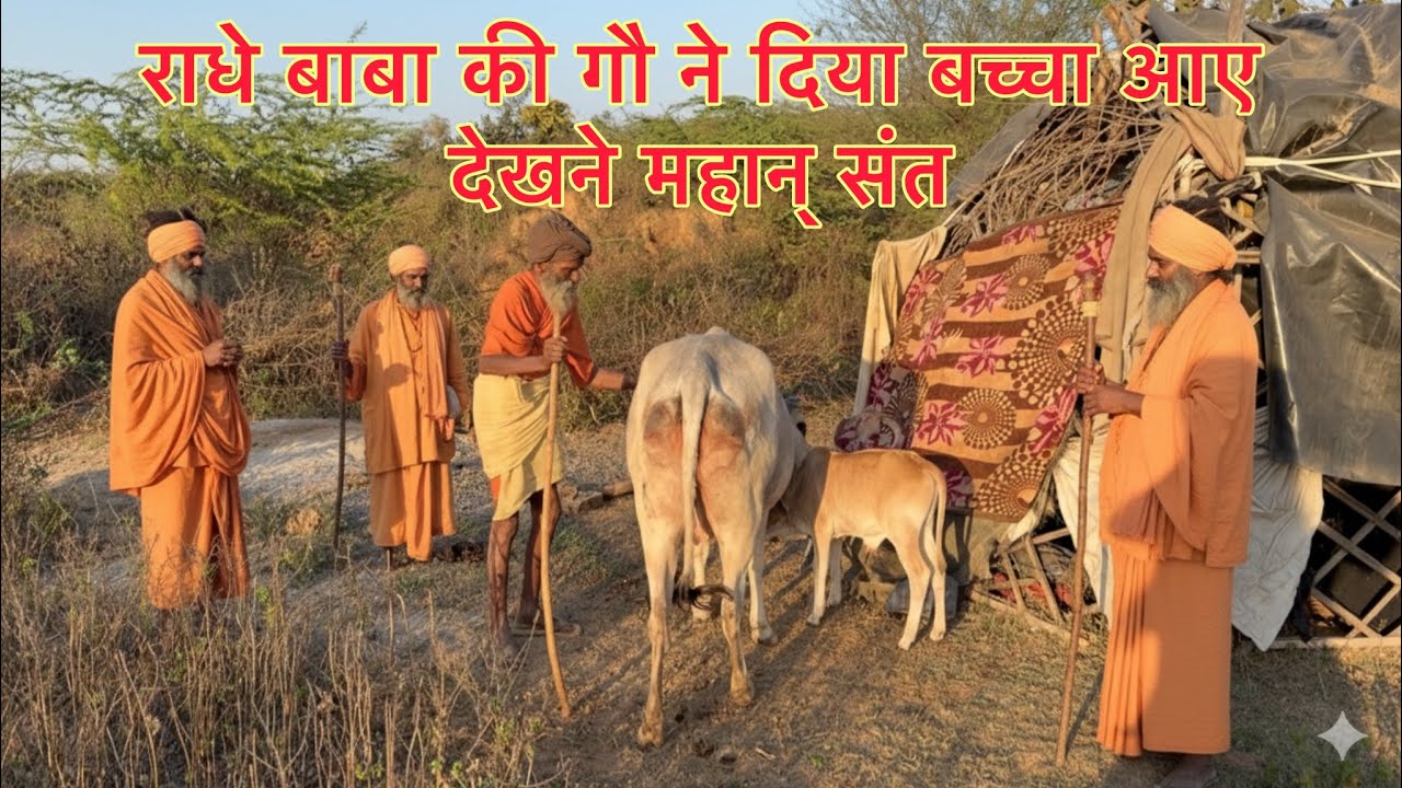 चित्रकूट के सिद्ध संत राधे बाबा की गाय माता ने दिया बच्चा आए महान संत देखने