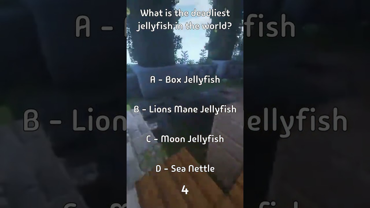 What is the deadliest jellyfish in the world?