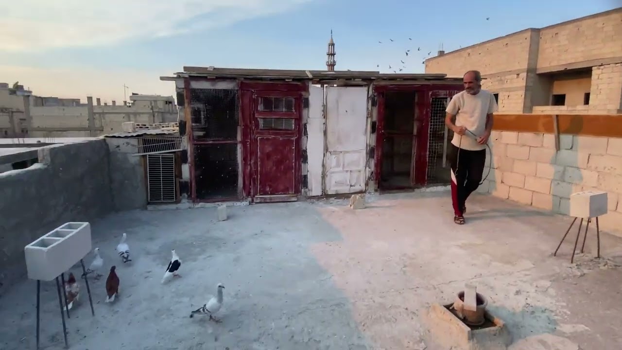 تعالو نشوف مكان الزق😉 عبينا سما حمص حمام