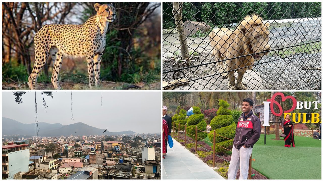 Nepal ka zoo 🐅🐯 || Addy ke vlogs 