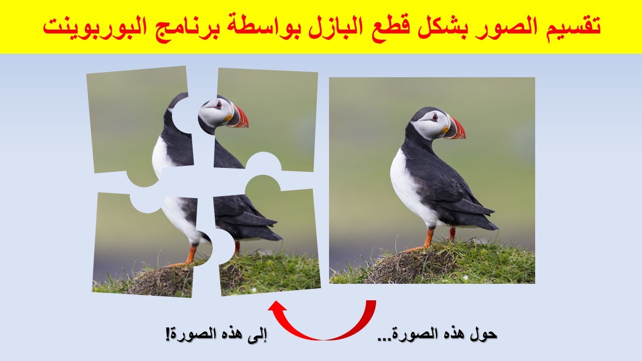 تقسيم أي صورة بشكل قطع البازل بواسطة برنامج البوربوينت