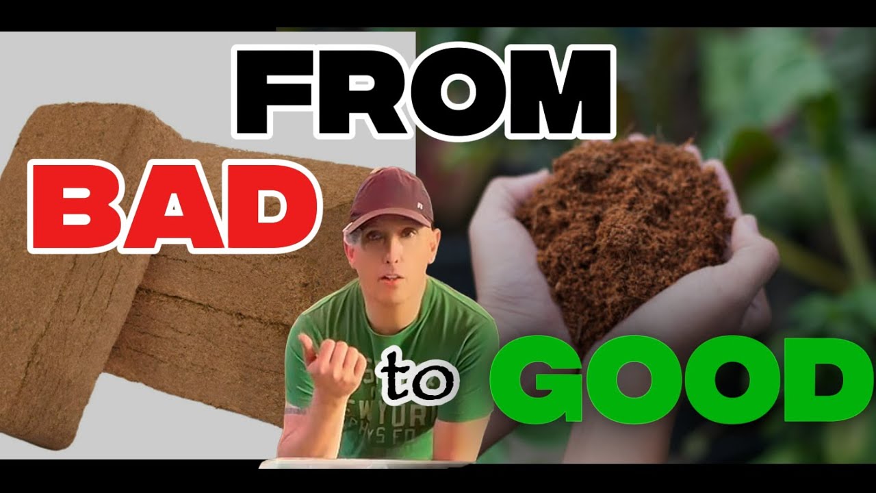 You Are Using Coco Coir WRONG! Or NOT, find out!