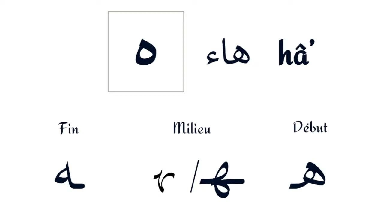 Leçon d'arabe 22: La lettre hâ' ( ه ) et le tâ' marboûTah ( ة )