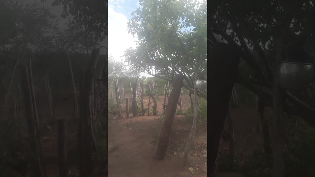 12 de fevereiro de 2026