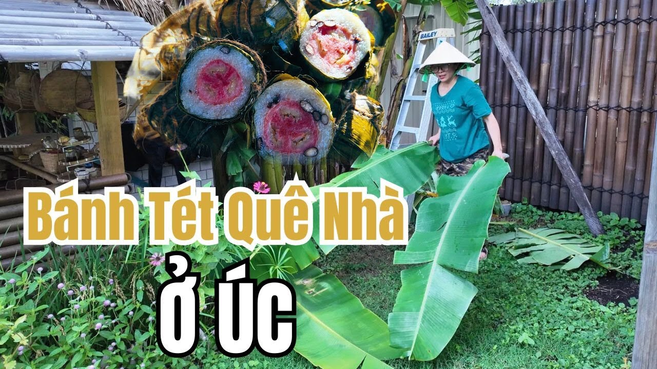 Cuộc Sống Úc - Cắt Lá Chuối Sau Vườn Gói Bánh Tét - Nhớ Tết Quê Da Diết