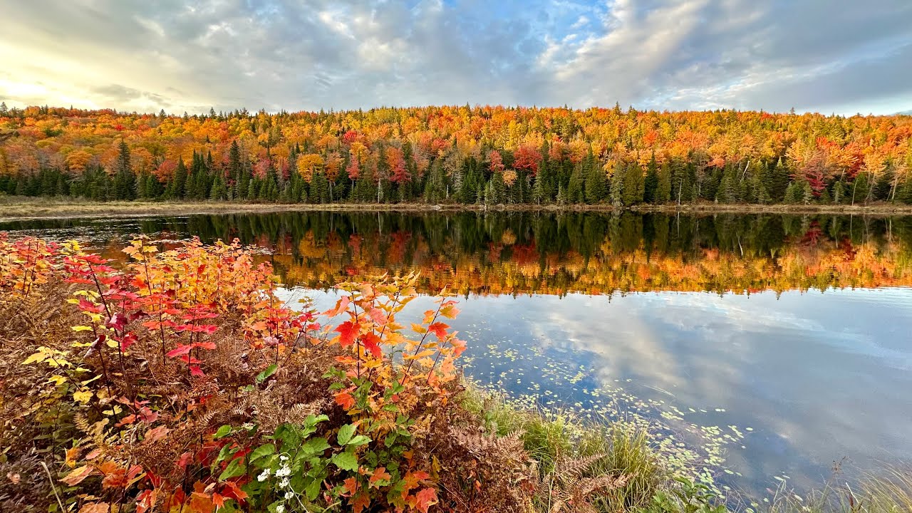 La Mauricie National Park, Quebec Canada 🇨🇦