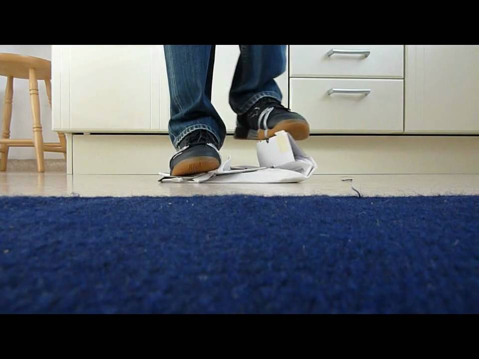 My Pumas trampling a shoe box