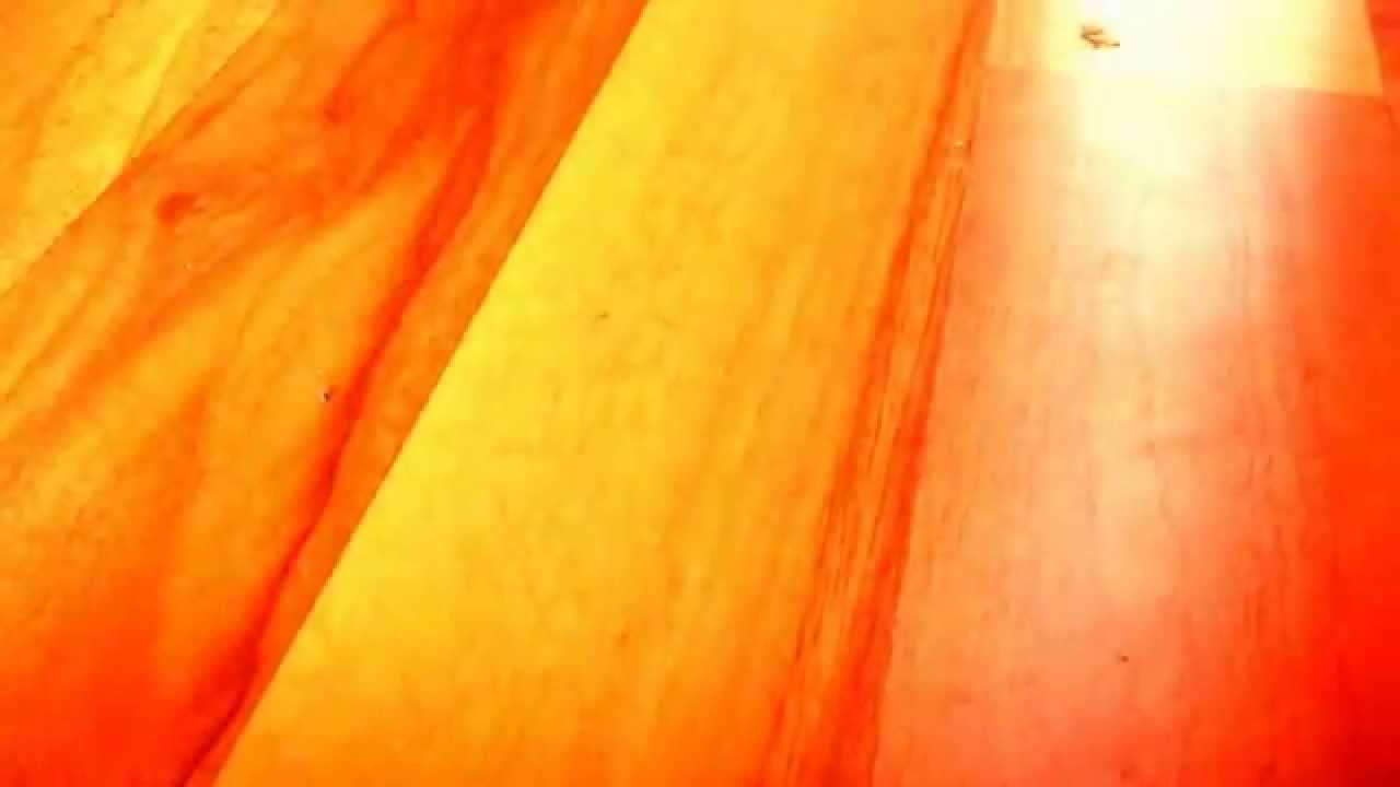 Angel 2 Meeres Vorfach