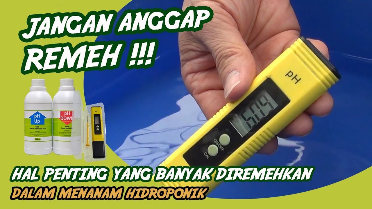 Mengatur pH air untuk Nutrisi tanaman hidroponik. #pH #akuaponik #aquaponik #hidroponik #abmix