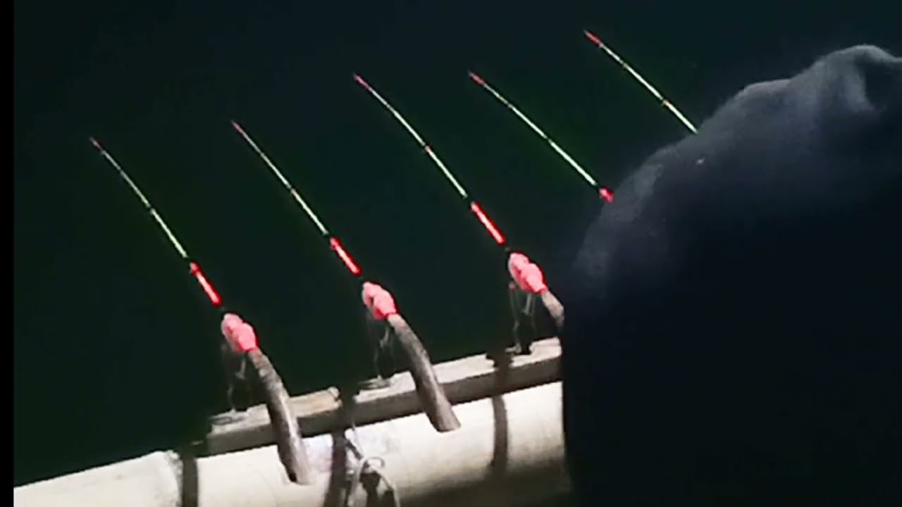 mancing Saguling ‼️ Spot ikan malam joran ranyud