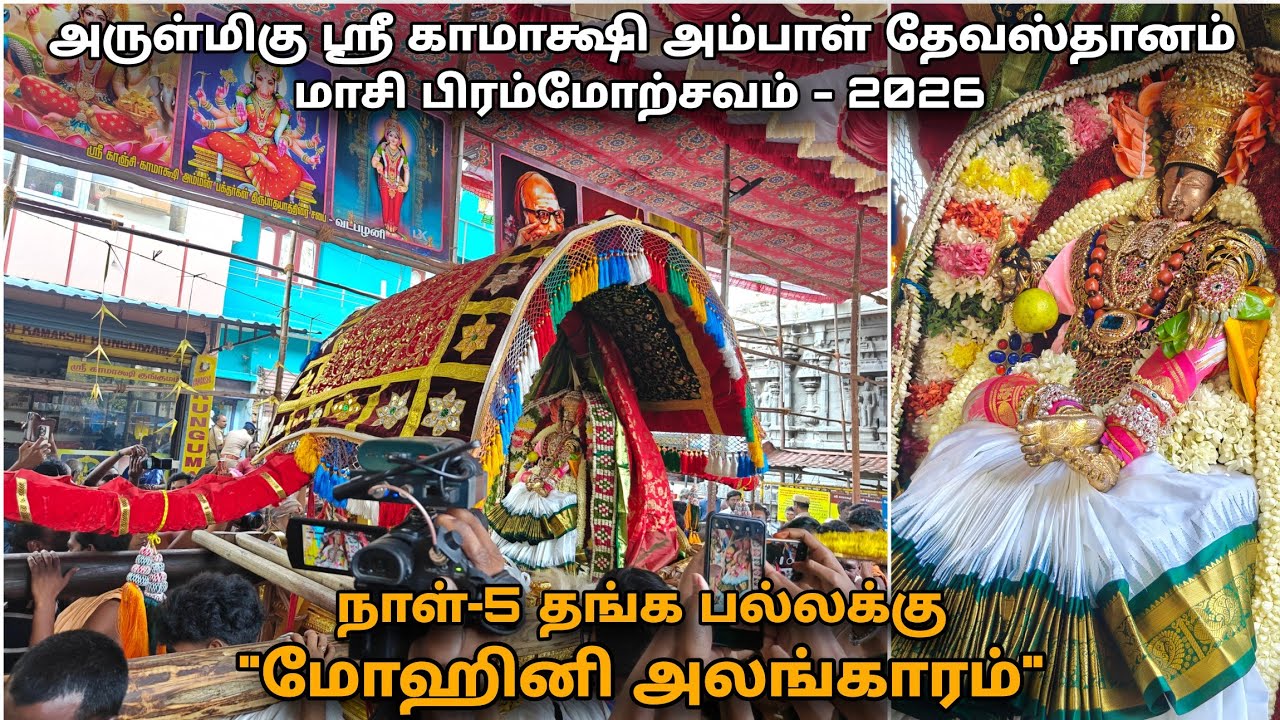 நாள்-5 தங்க பல்லக்கு | 