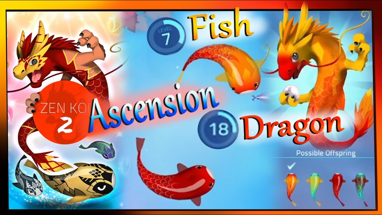 Fire Koi, Fish to Dragon Ascension - Zen Koi 2 #ZK2