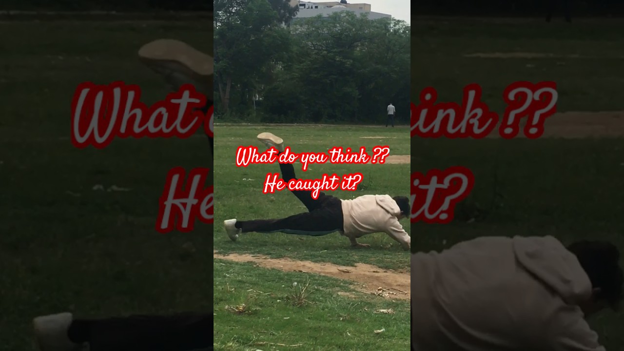 Guess..!! Did he catch it? #attitude #pigeonsattackfalcons #pigeon #falcoon #love #pigeonattack #❤️