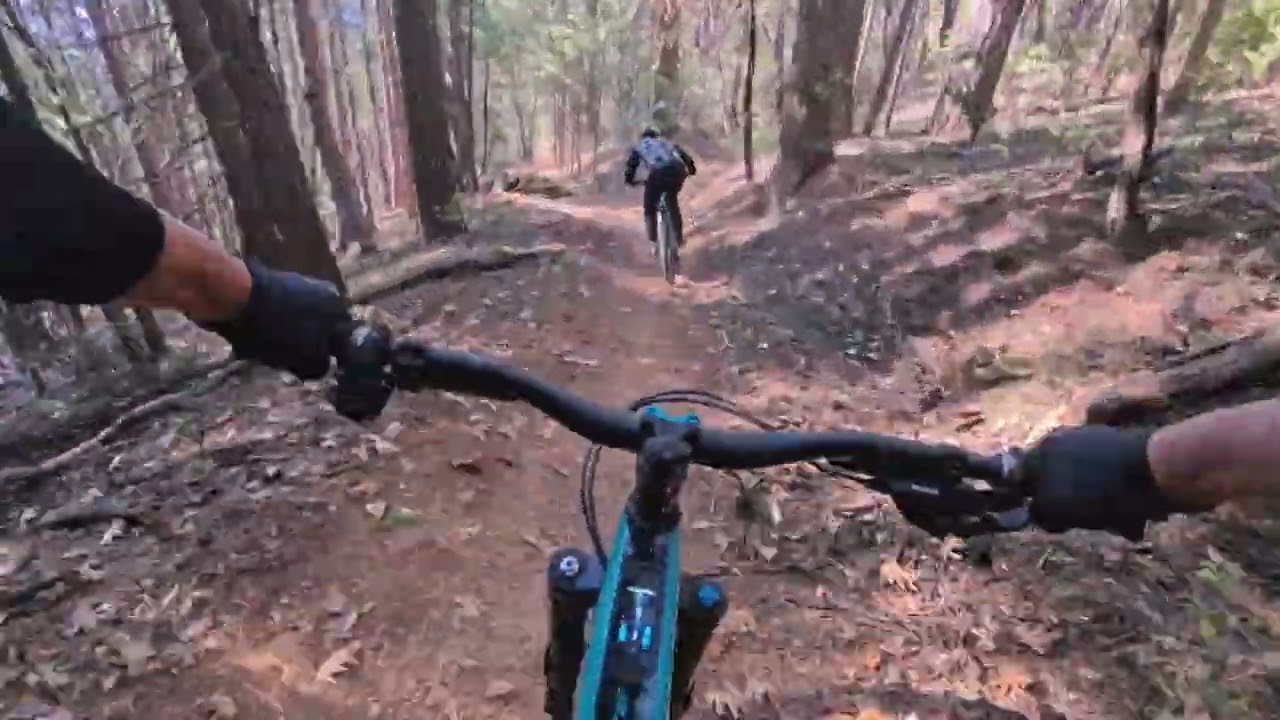 56th Birthday Weekend - Trail 41!!