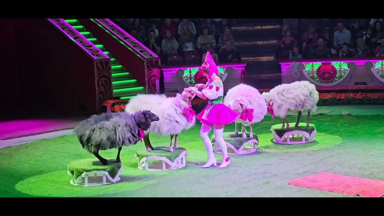 Московский цирк Никулина- шоу Матрёшка🔥Moscow Circus Nikulin- Matryoshka show #circus #show #funny