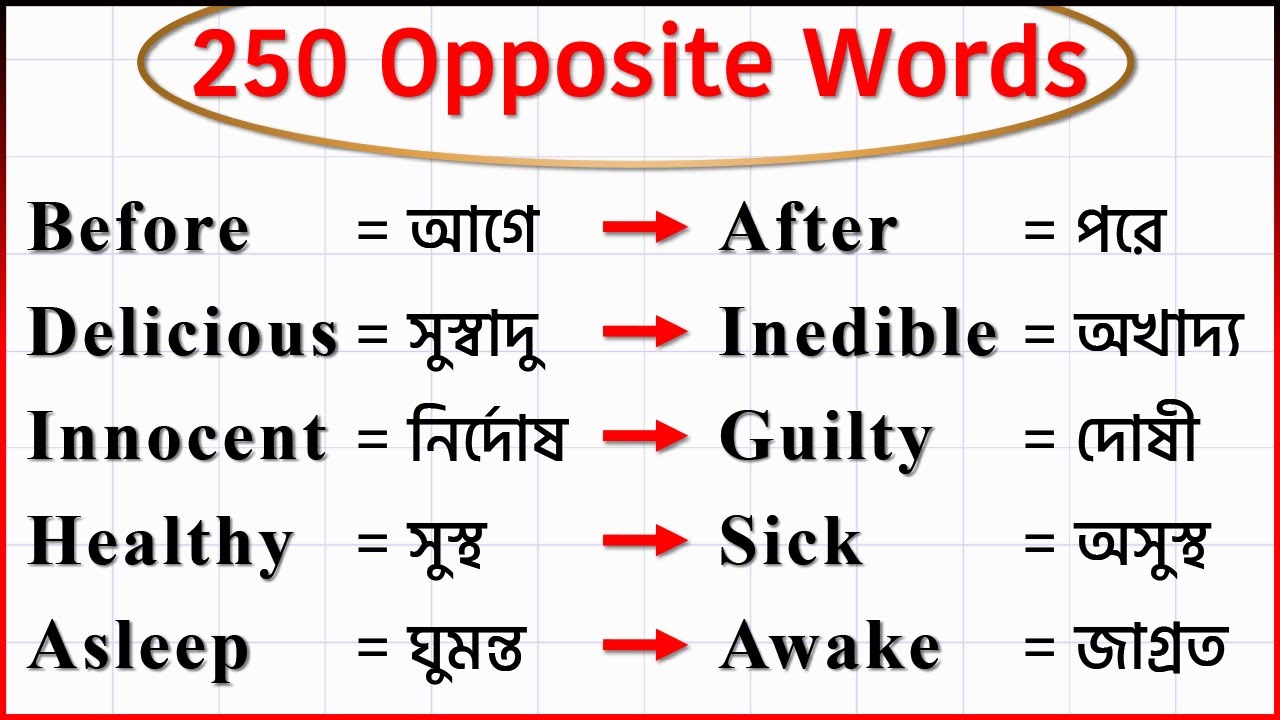 250 Opposite Words with Bangla Meaning // Bangla to English Word Meaning // Learn English Vocabulary