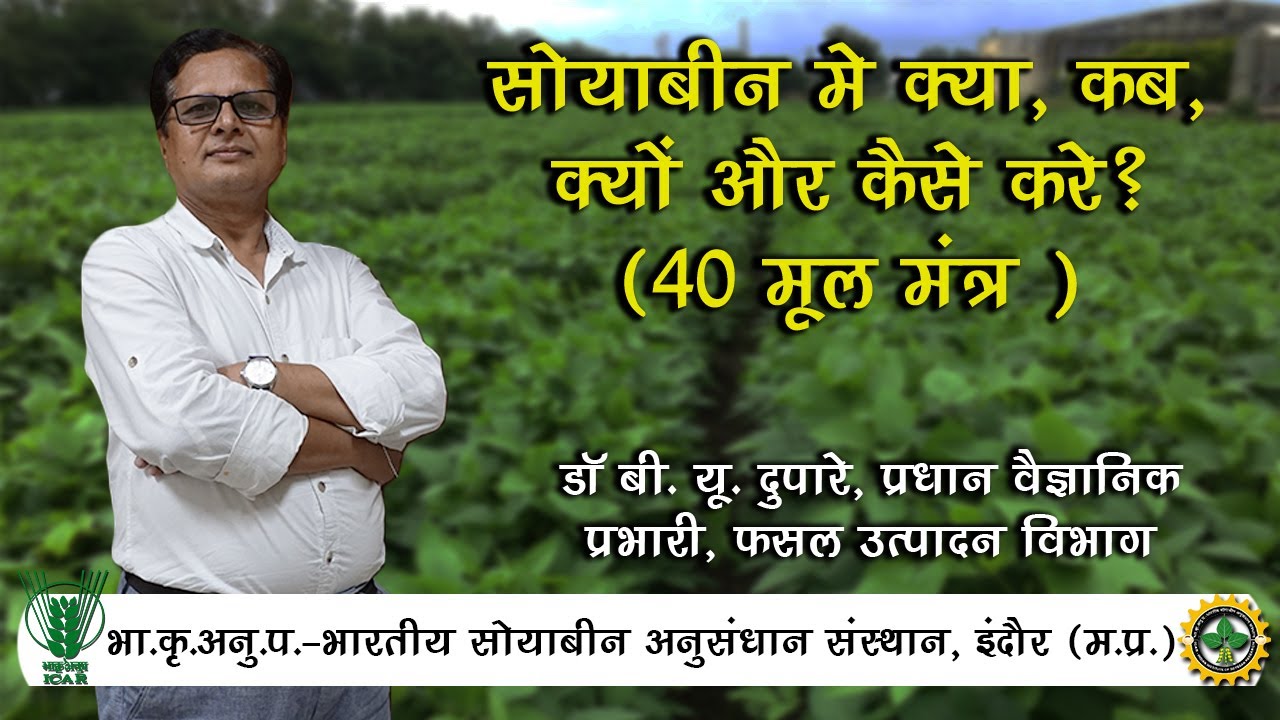 सोयाबीन मे क्या, कब, क्यों और कैसे करे? (40 मूल मंत्र )  || IISR INDORE