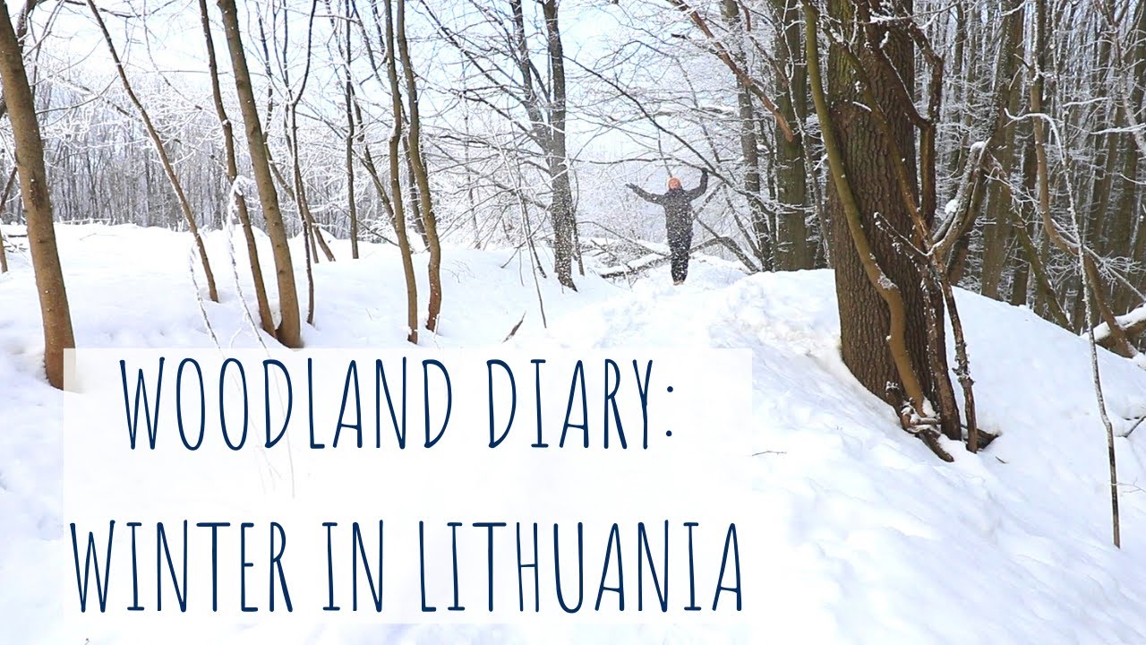 Woodland diaries: #1 Cold winter in Lithuania