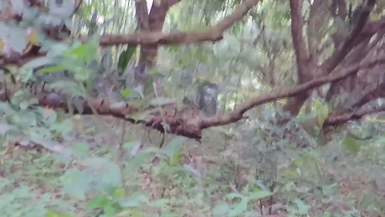 Rakrakan 3 Part 1