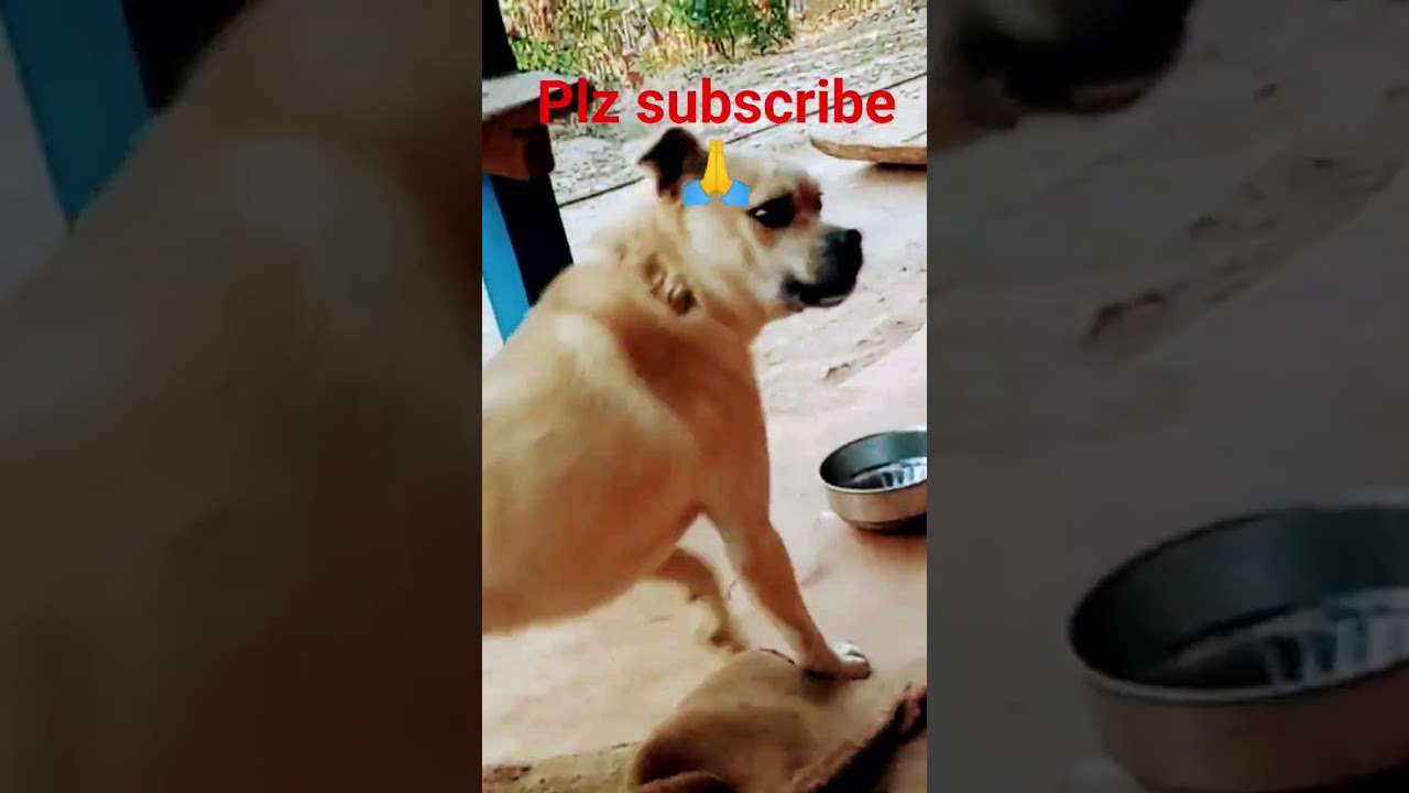 😱😱