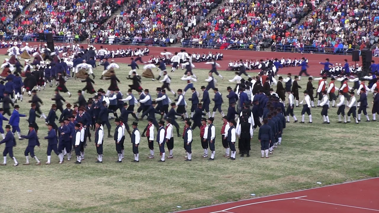 Tantsupidu 2019, Kalamees