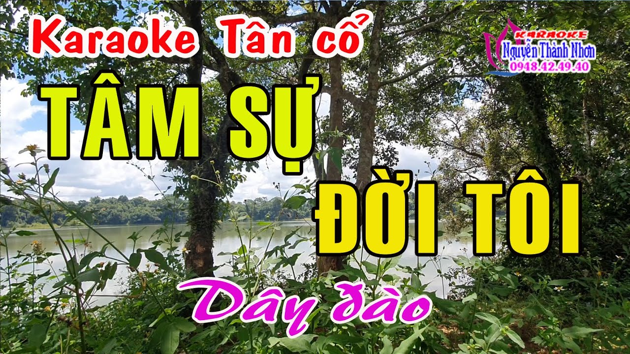 Karaoke tân cổ TÂM SỰ ĐỜI TÔI - DÂY ĐÀO