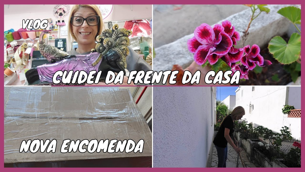 Encomenda Nova e Entregue + Cuidei da Frente da Casa Plantei e Organizei | Vlog do dia